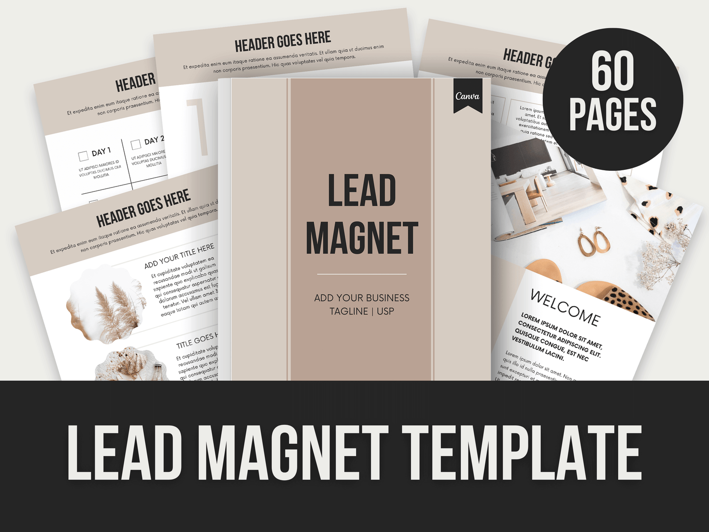 Lead-Magnet-Template PLR MRR Digital Products from Grit Ground