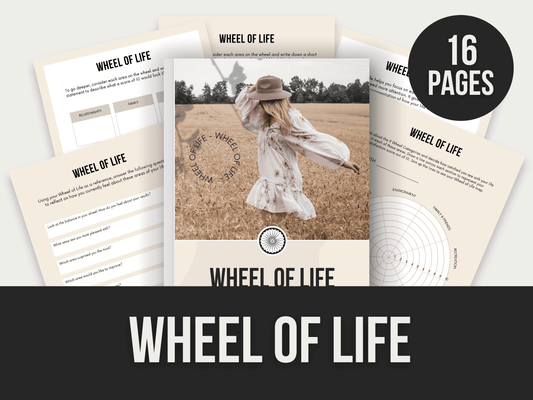 Wheel-Of-Life PLR MRR Digital Products from Grit Ground