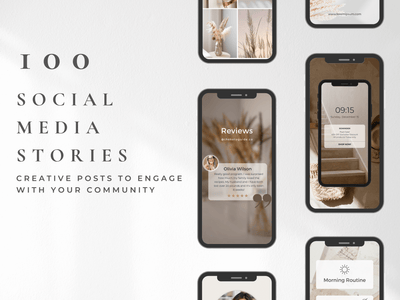 100+ Aesthetic Stories Templates PLR MRR Digital Products from Grit Ground